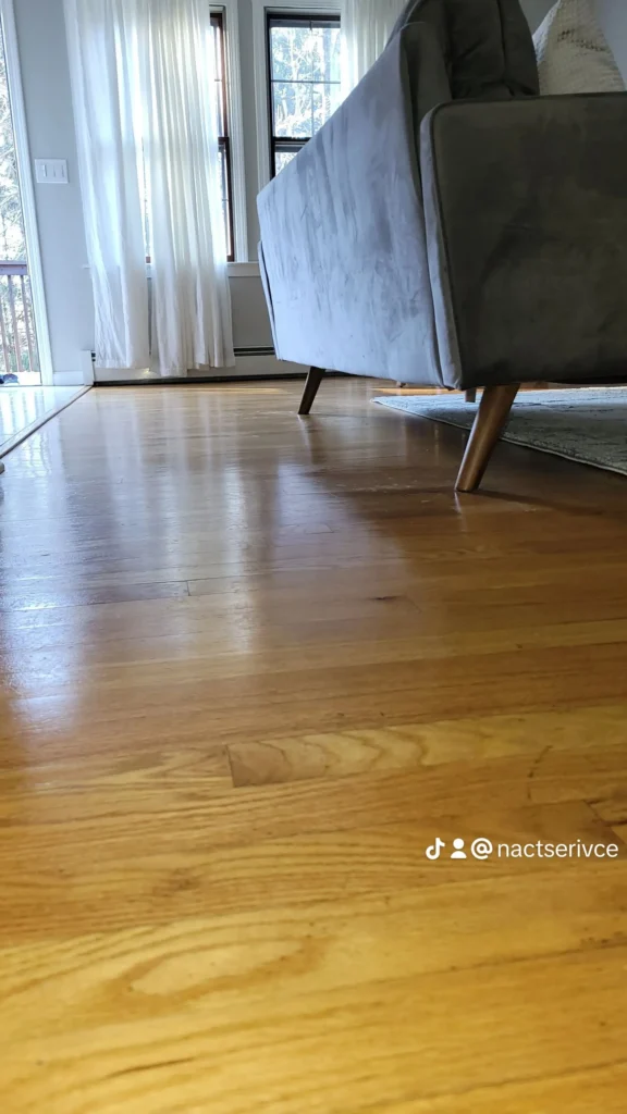 Cleaned living room with light wood floors and a modern gray couch in front of sunny windows