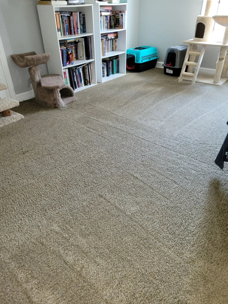 Clean and neat carpet in a Connecticut home library after professional vacuum and carpet cleaning