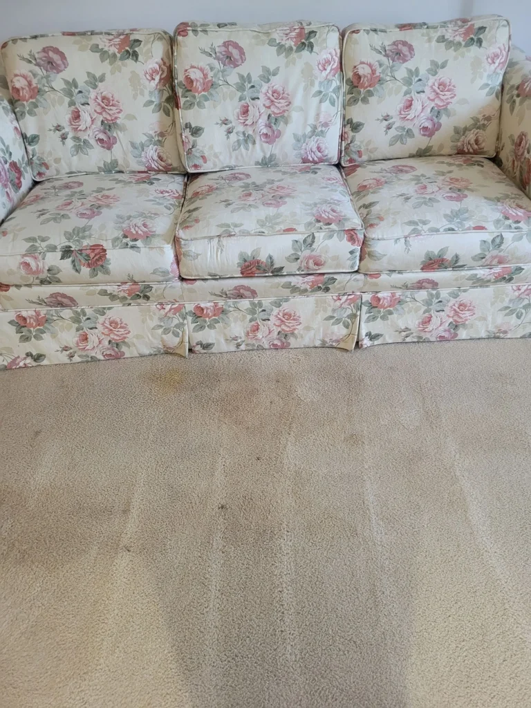 Heavily stained carpet in front of a floral couch before deep cleaning service in a Connecticut home