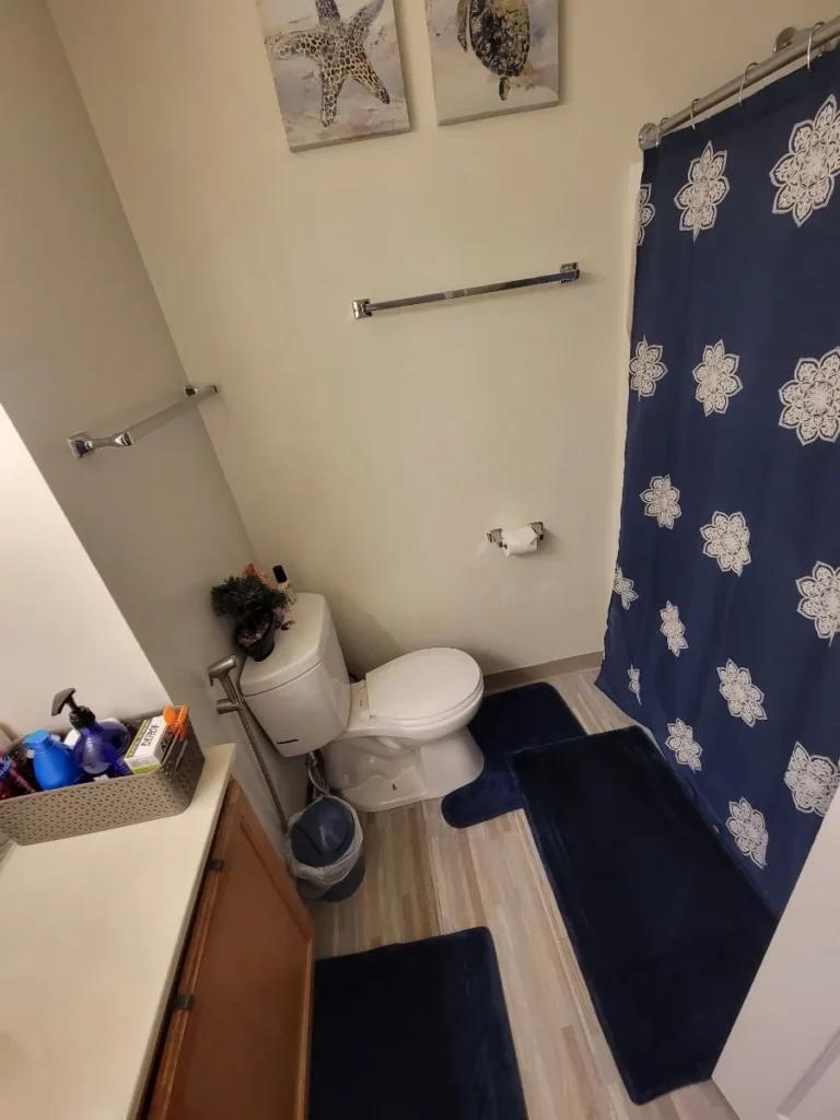 Sparkling clean bathroom with blue rugs and shower curtain after monthly cleaning in New Haven, Connecticut