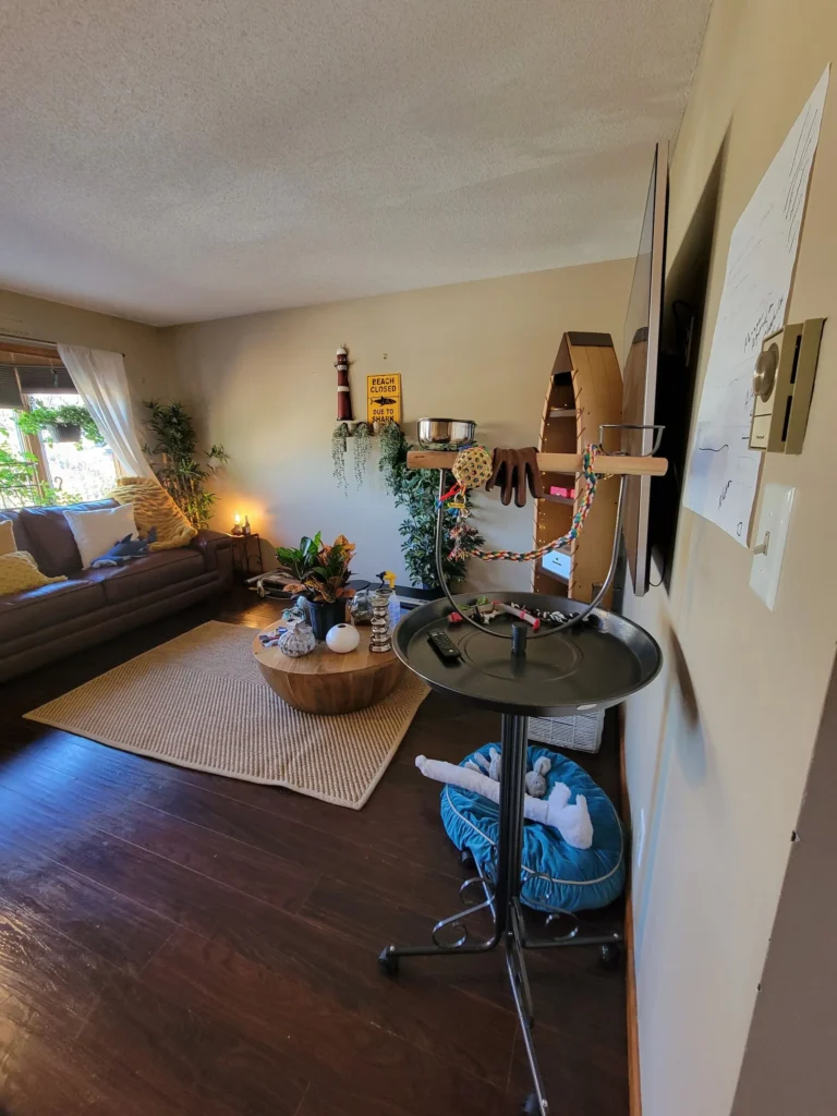Organized and clean living room after deep clean in New Britain CT