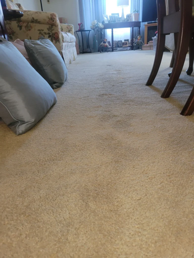 Spotless carpet after professional cleaning in Southington CT