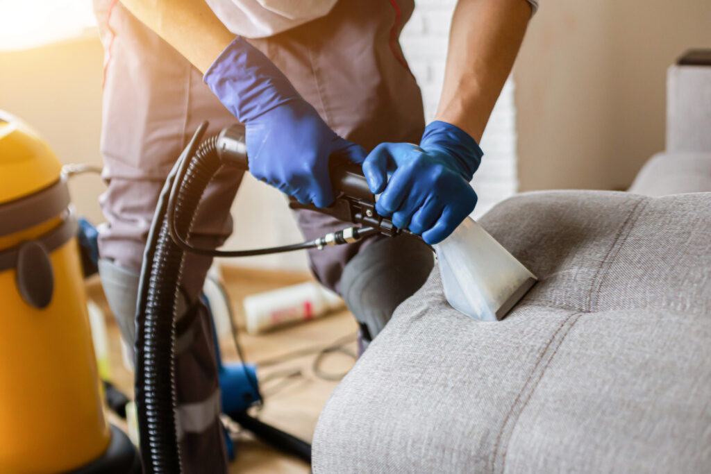 Professional cleaner using a vacuum extractor on a fabric couch